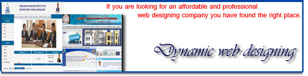 Dynamic Website Design and Development Kolhapur