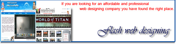 Flash Website Design Kolhapur